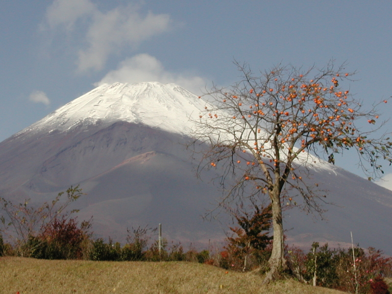 富士山画像記録