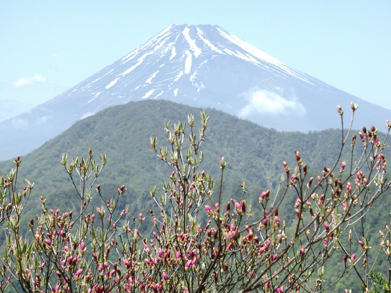 富士山画像記録