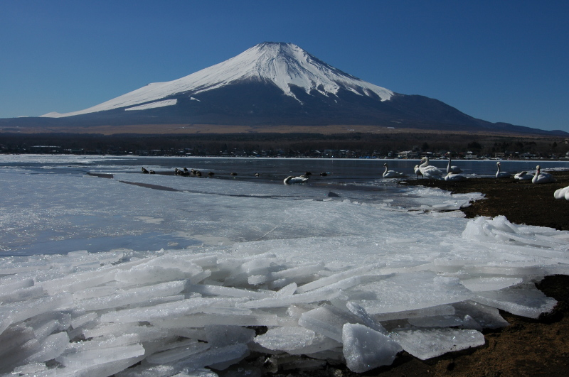 富士山画像記録