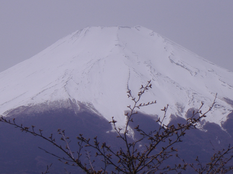 富士山画像記録