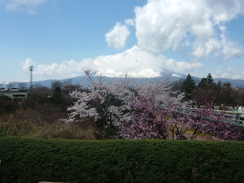 富士山画像記録