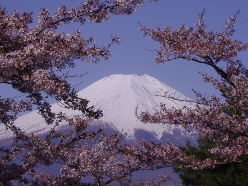 富士山画像記録