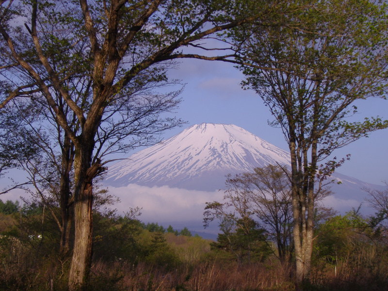 富士山画像記録