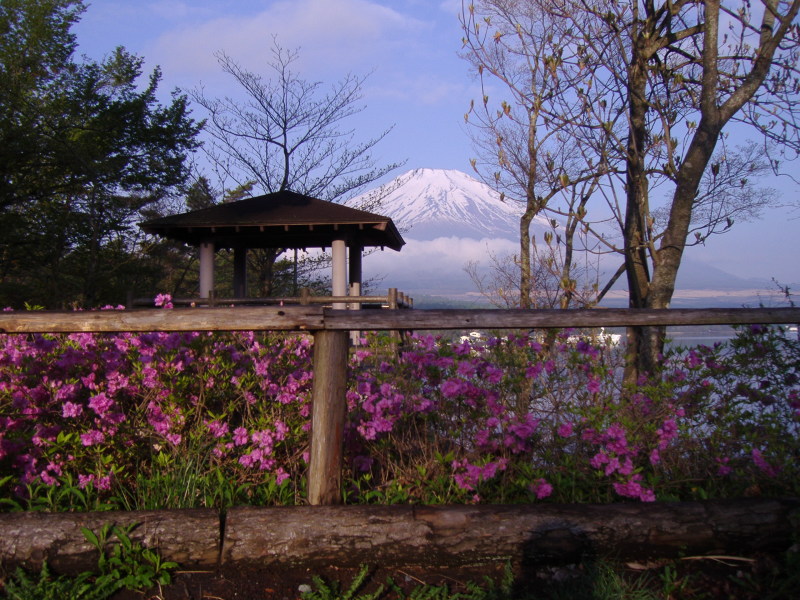 富士山画像記録