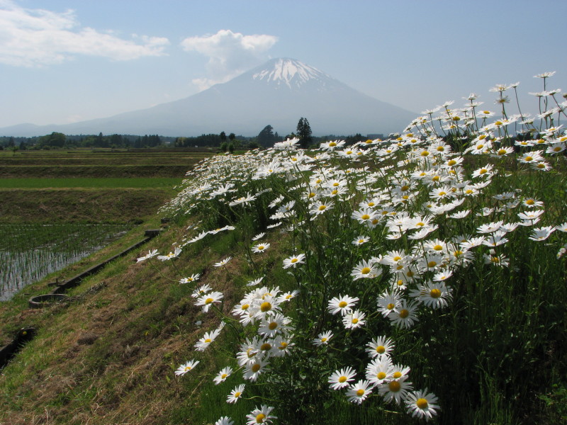 富士山画像記録