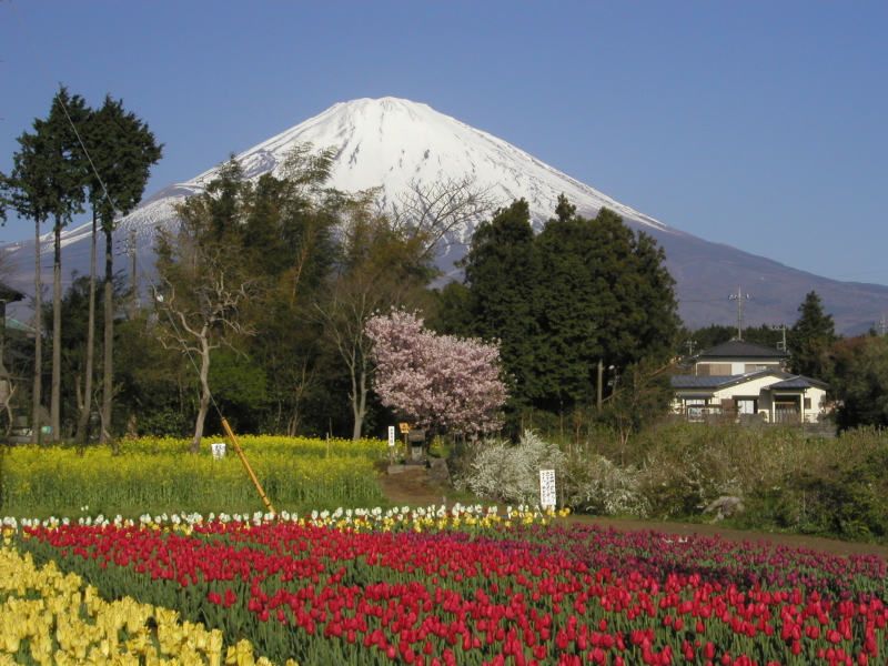 富士山画像記録