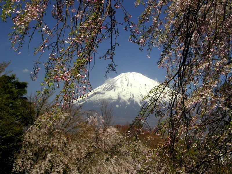 富士山画像記録