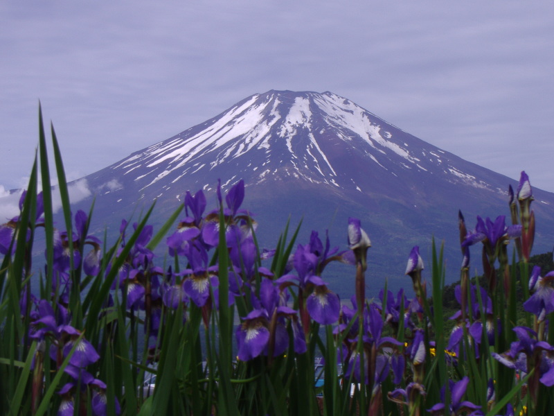 富士山画像記録