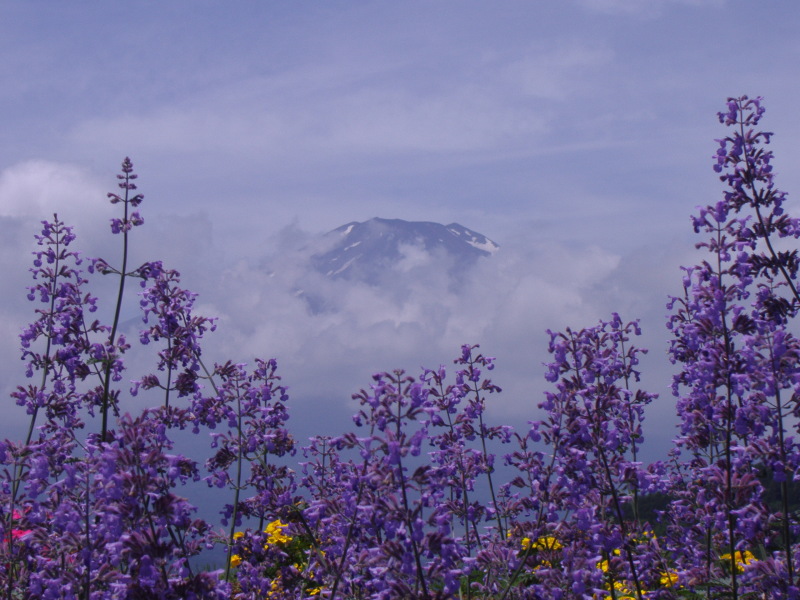 富士山画像記録