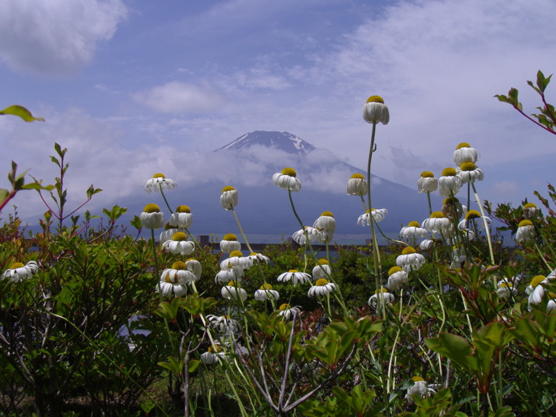 富士山画像記録