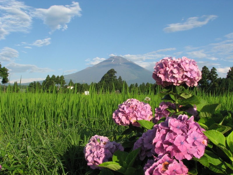 富士山画像記録