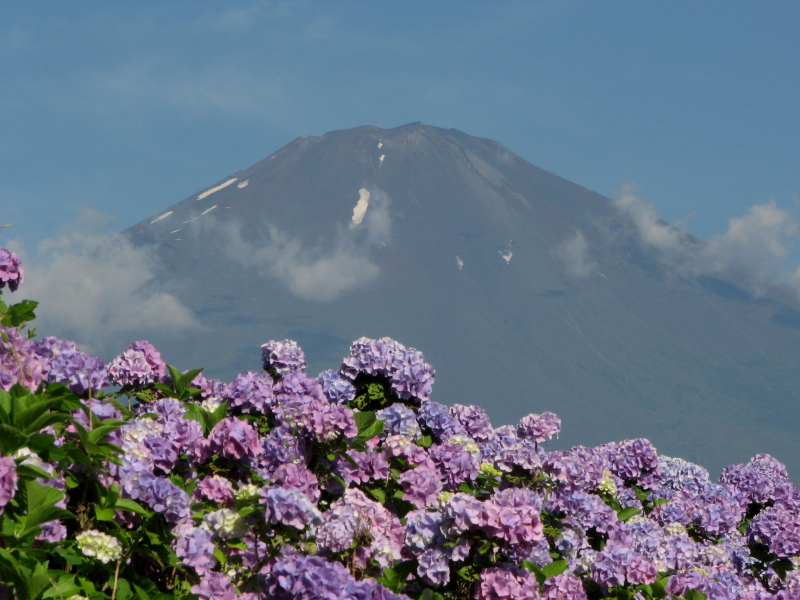 富士山画像記録