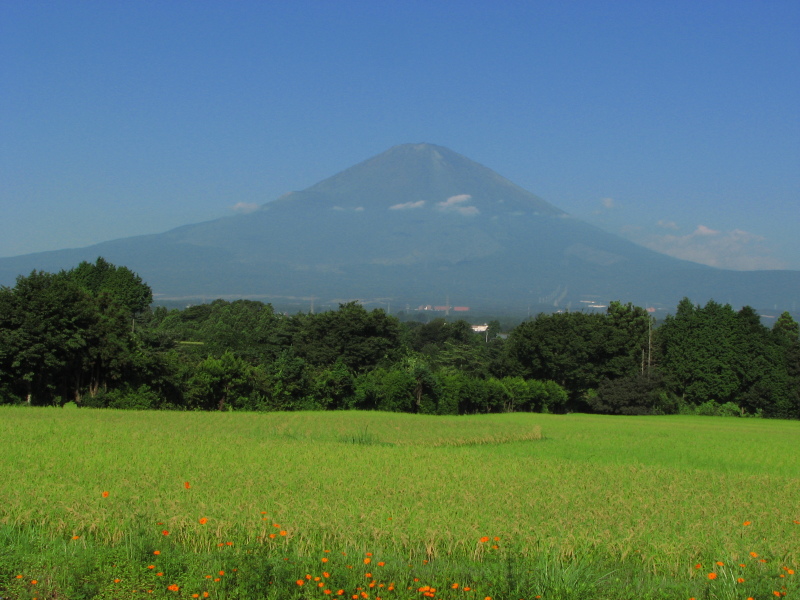 富士山画像記録