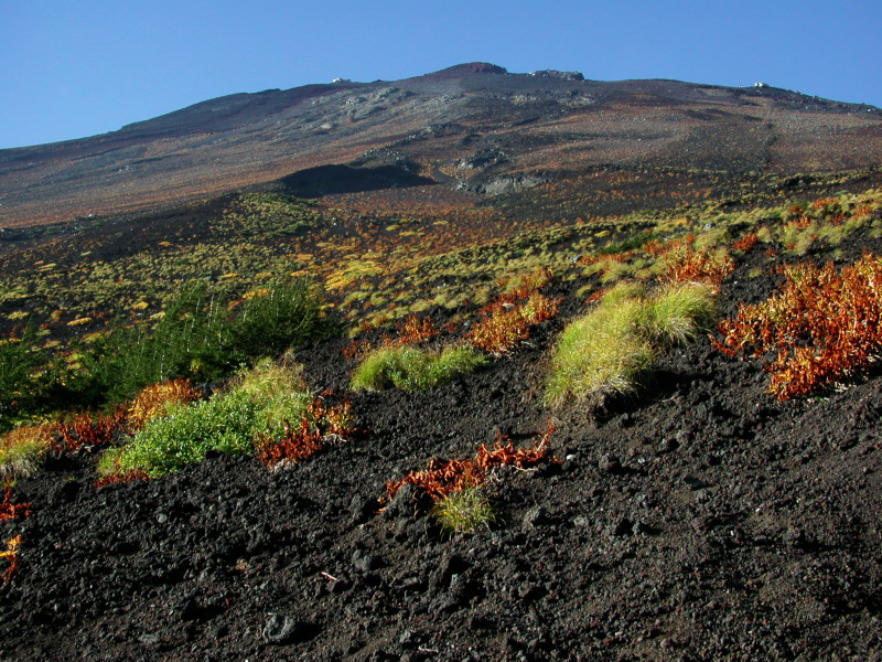 富士山画像記録