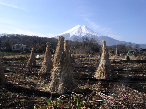 富士山画像記録