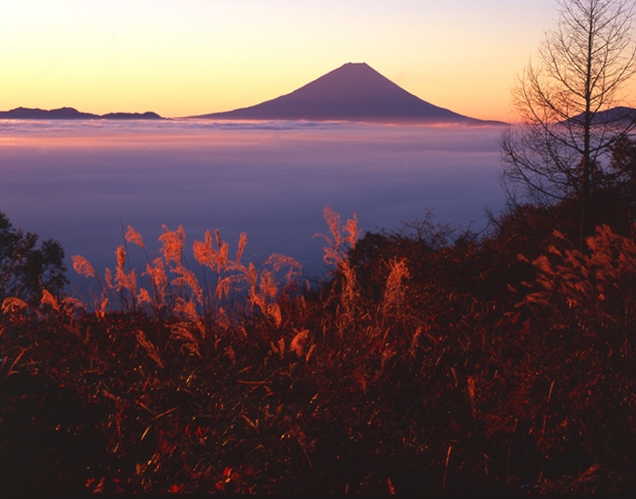 富士山画像作品