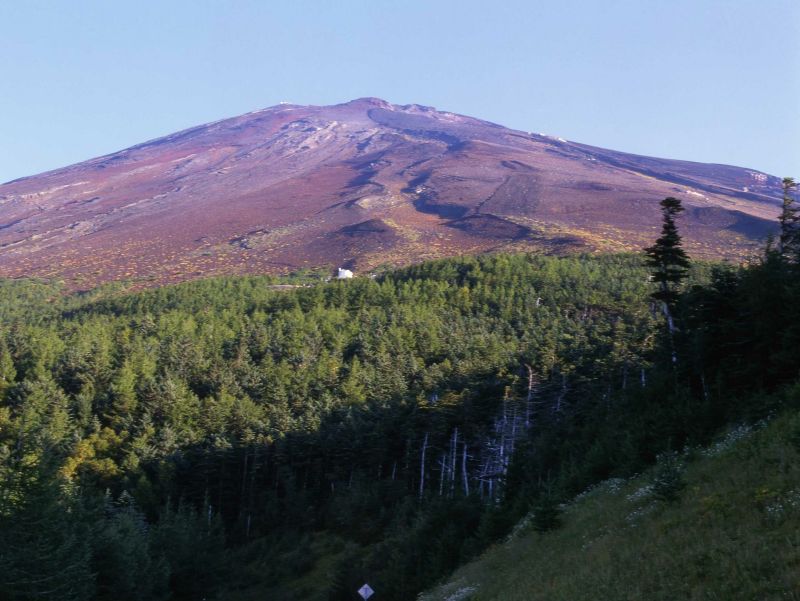 富士山画像作品