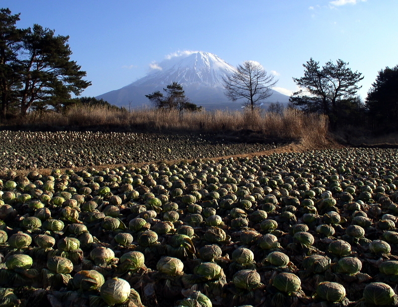 富士山画像記録