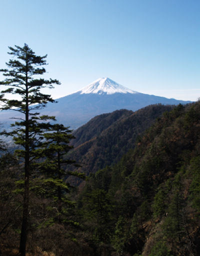 富士山画像作品