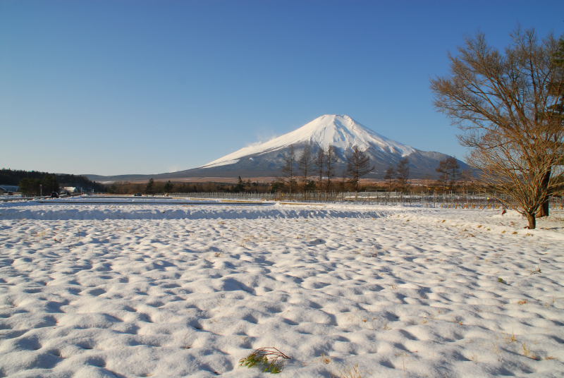 富士山画像記録