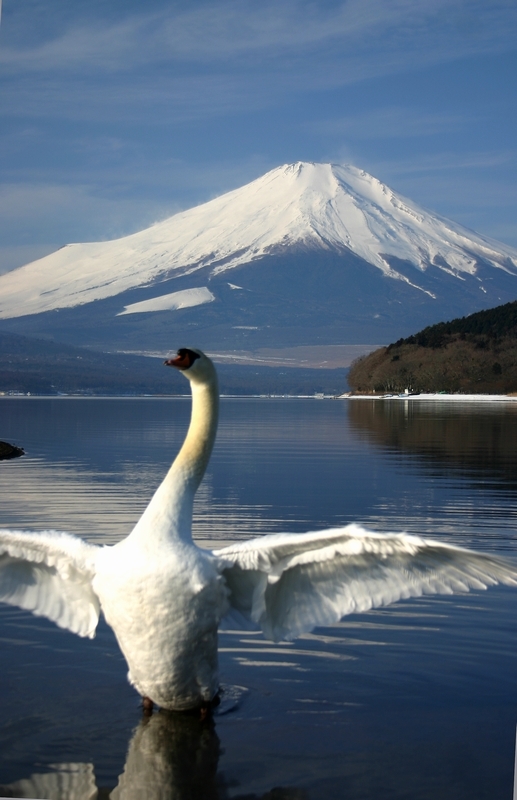 富士山画像記録