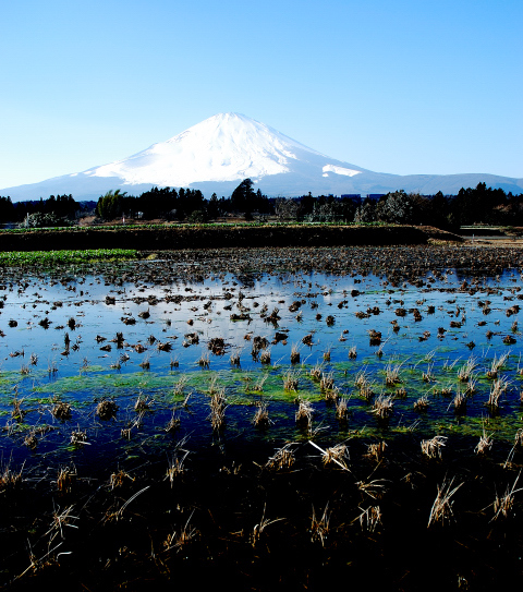 富士山画像記録