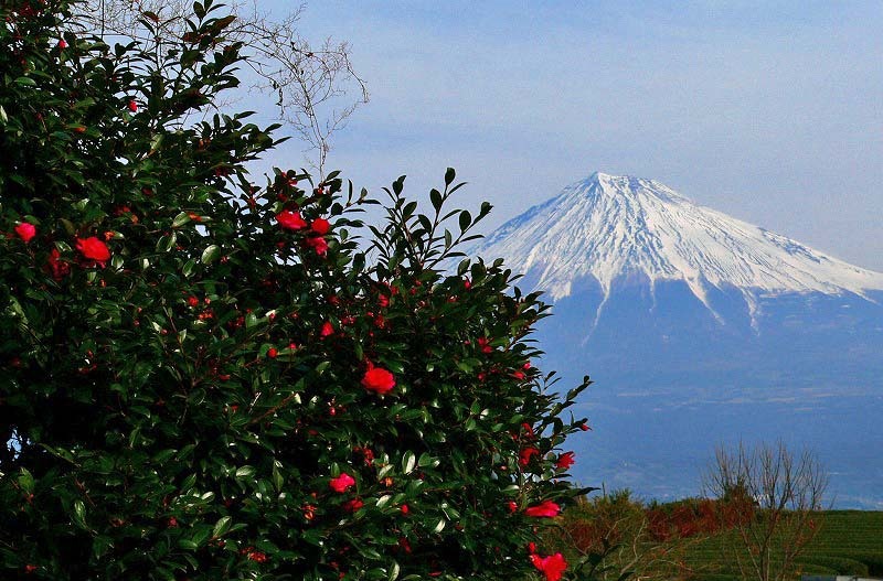 富士山画像記録