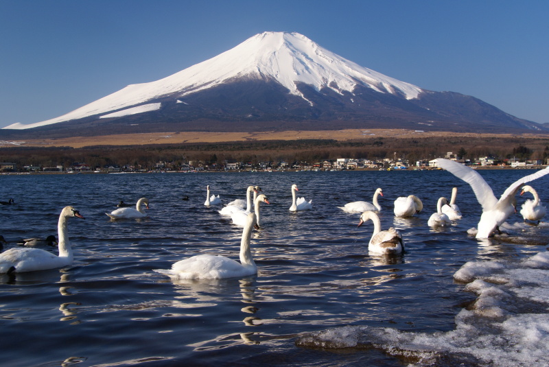 富士山画像記録