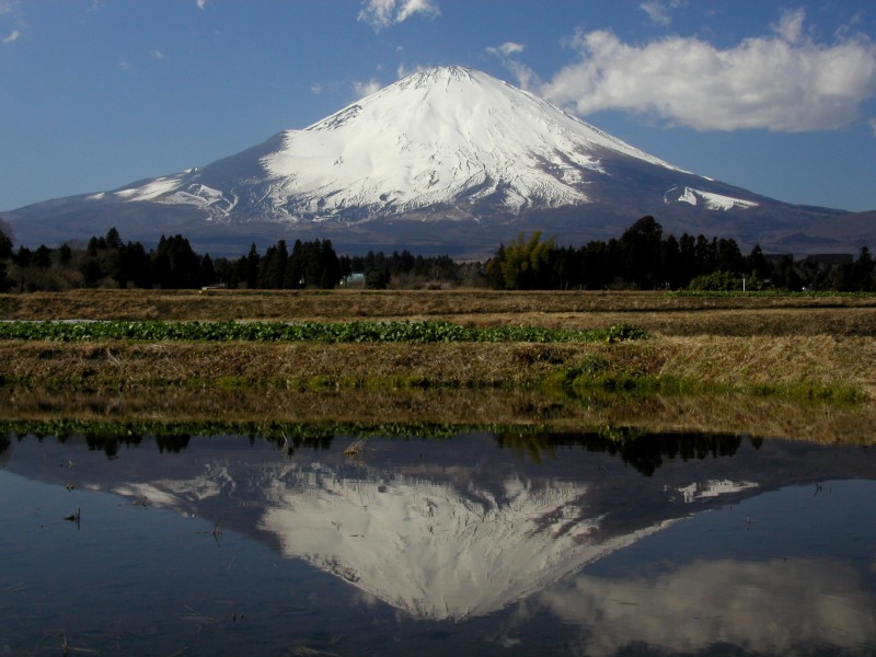 富士山画像記録