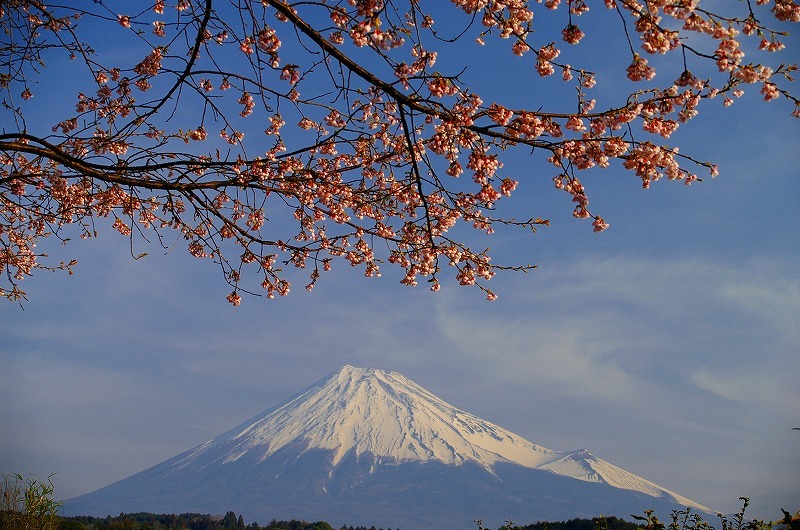 富士山画像記録