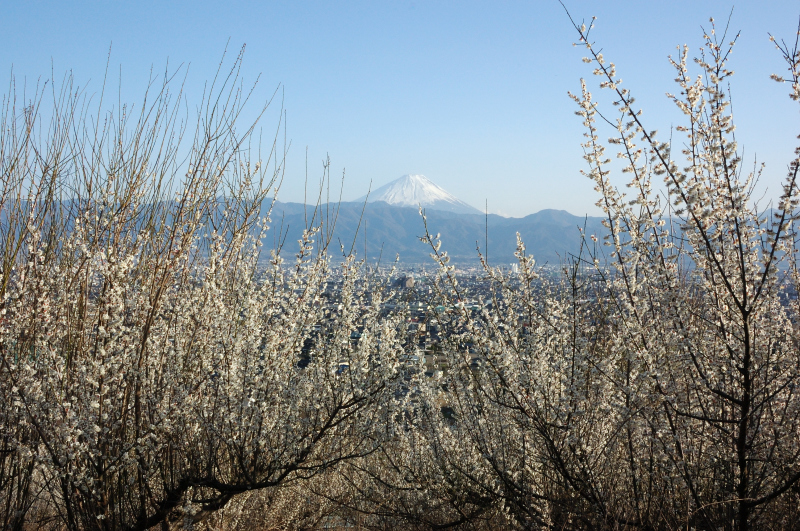 富士山画像記録