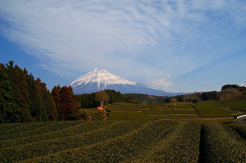 富士山画像記録