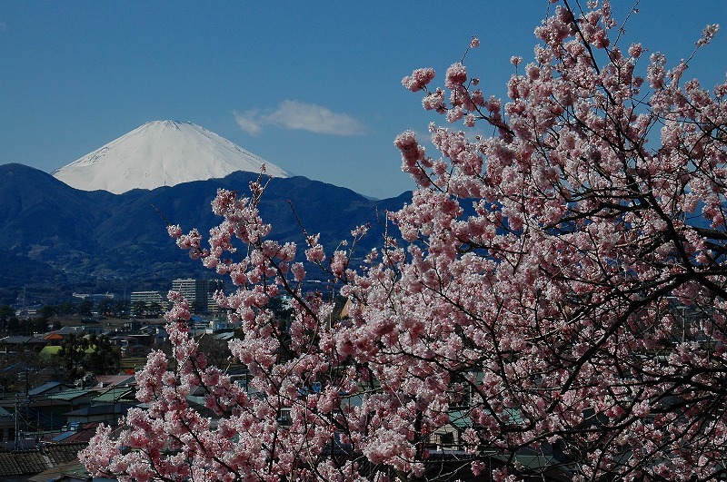 富士山画像記録