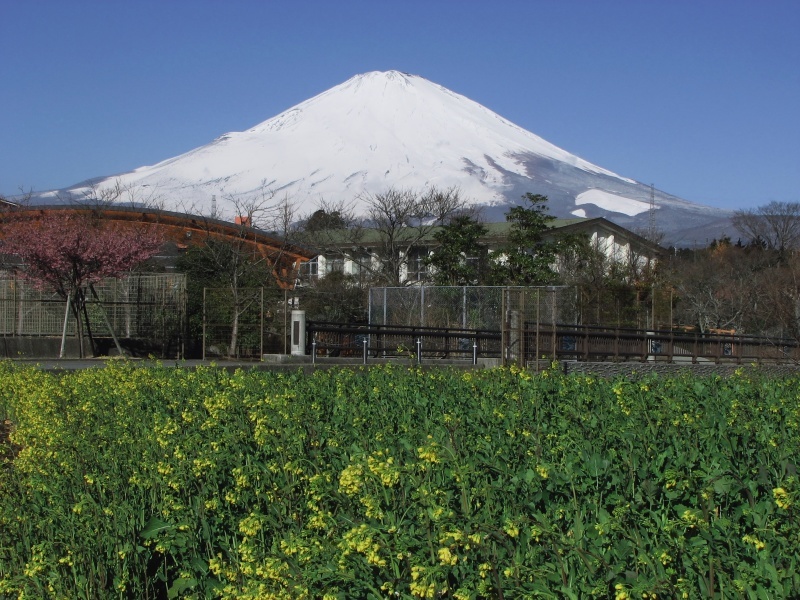 富士山画像記録