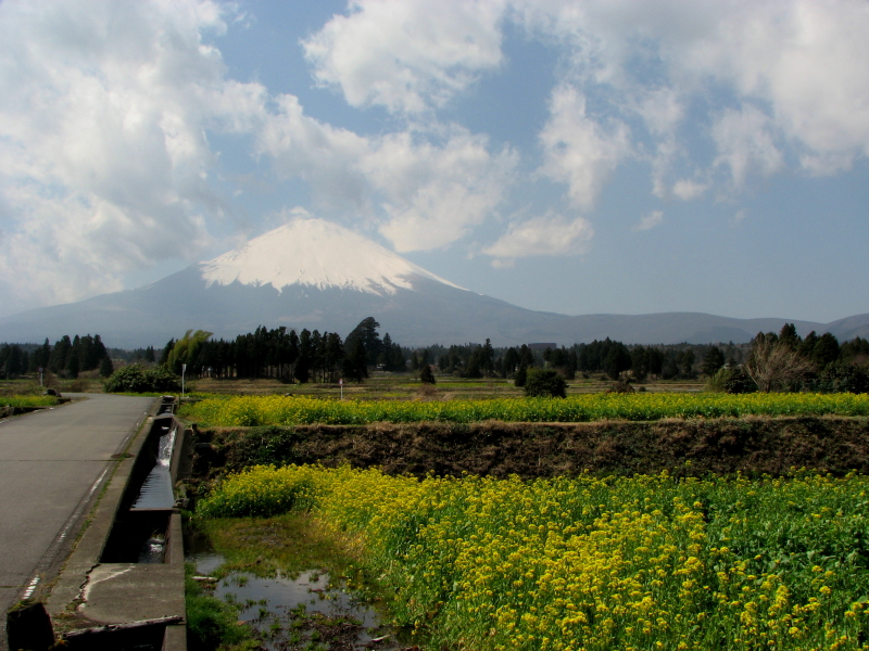 富士山画像記録