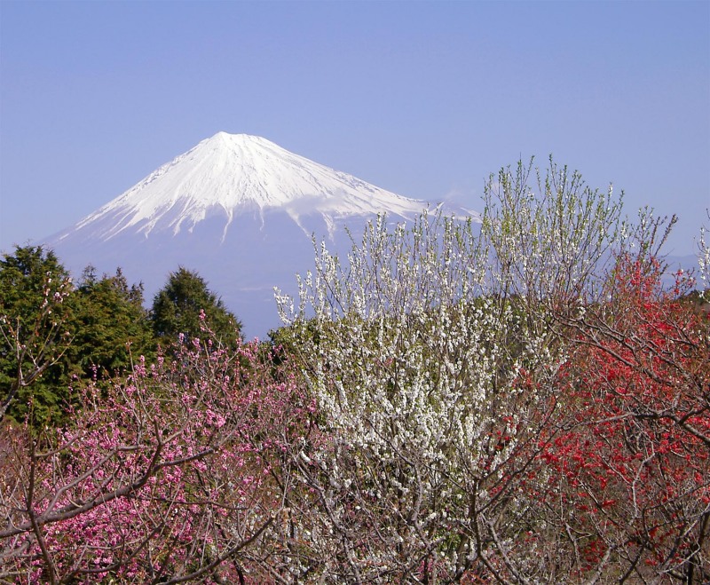 富士山画像作品