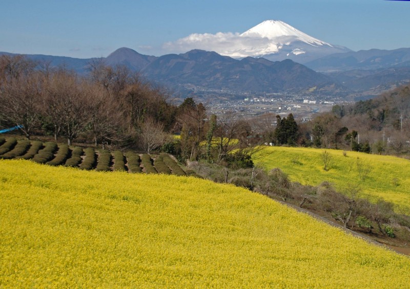 富士山画像記録