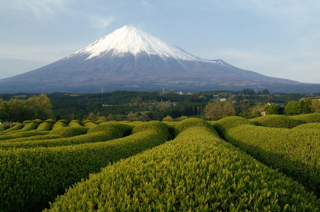 富士山画像記録