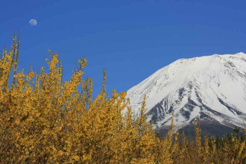 富士山画像作品