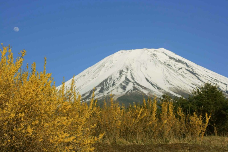 富士山画像作品