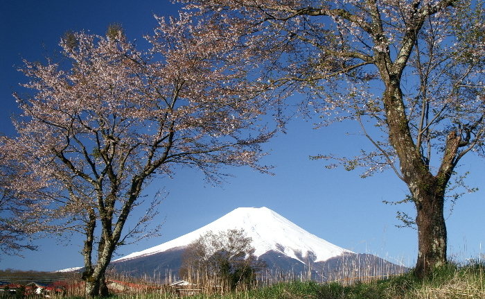 富士山画像作品