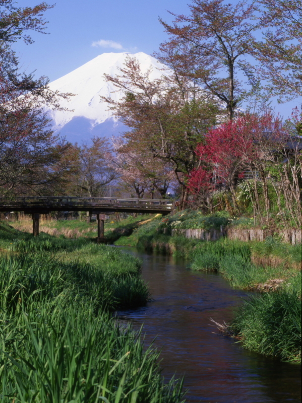 富士山画像作品