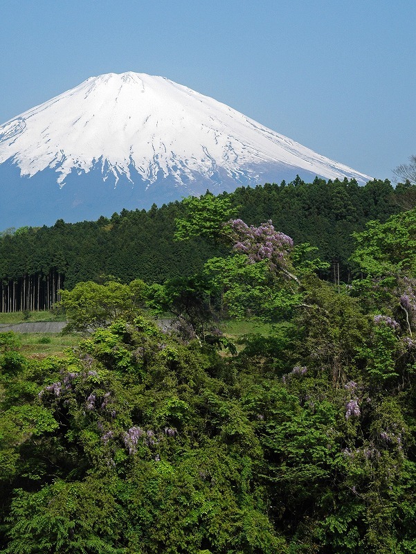 富士山画像記録