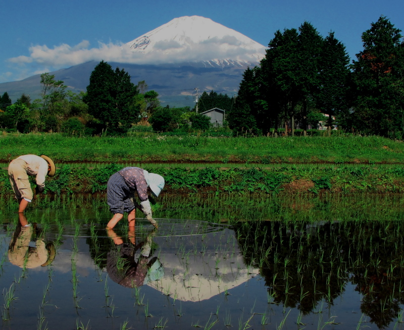 富士山画像記録