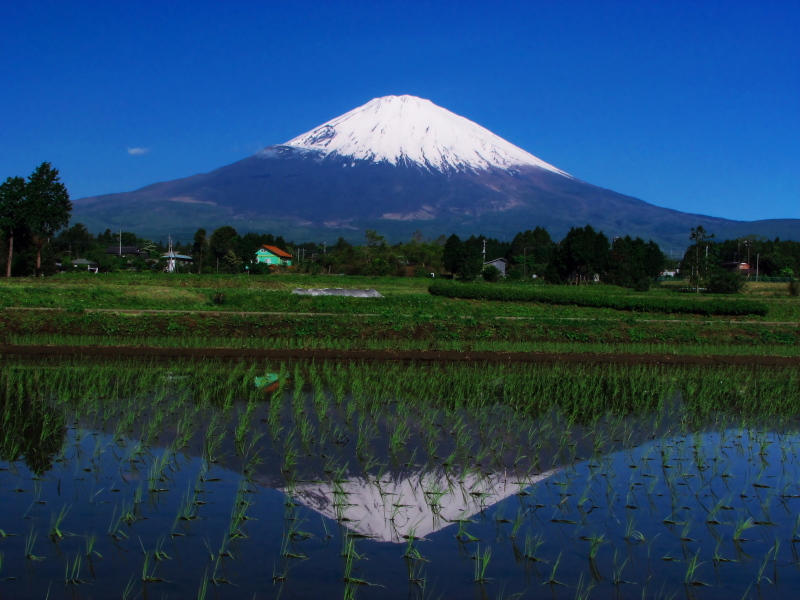 富士山画像記録