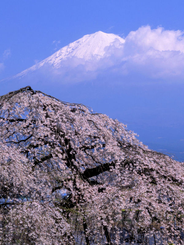 富士山画像作品