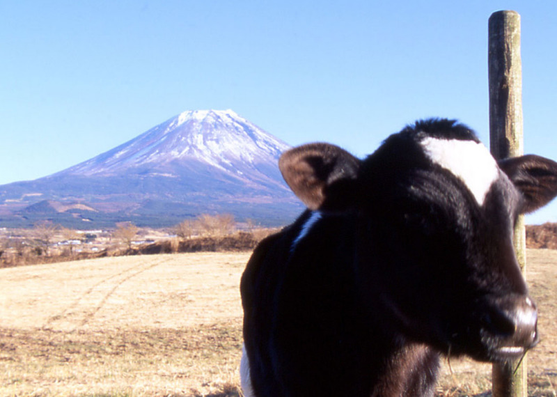 富士山画像作品