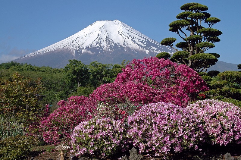 富士山画像記録