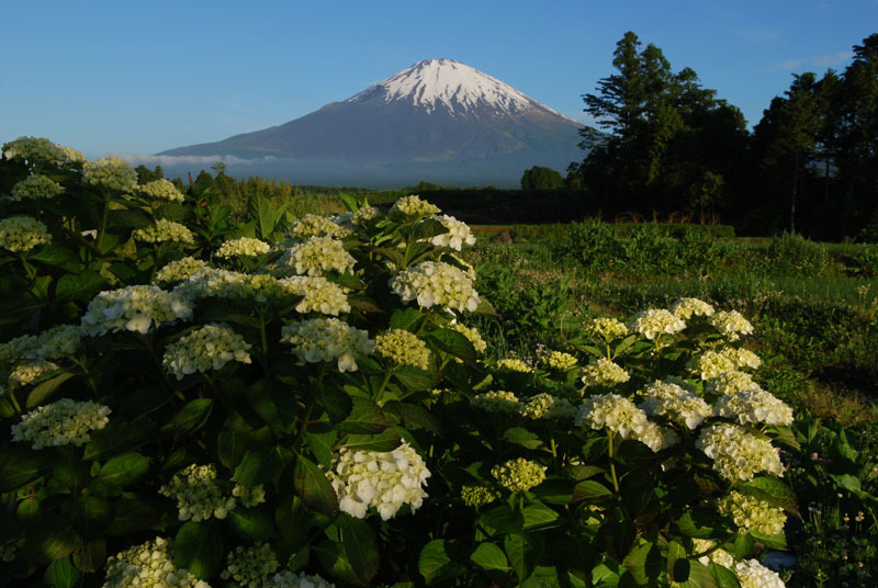 富士山画像記録