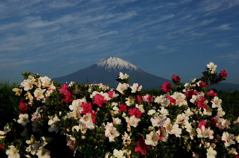 富士山画像記録